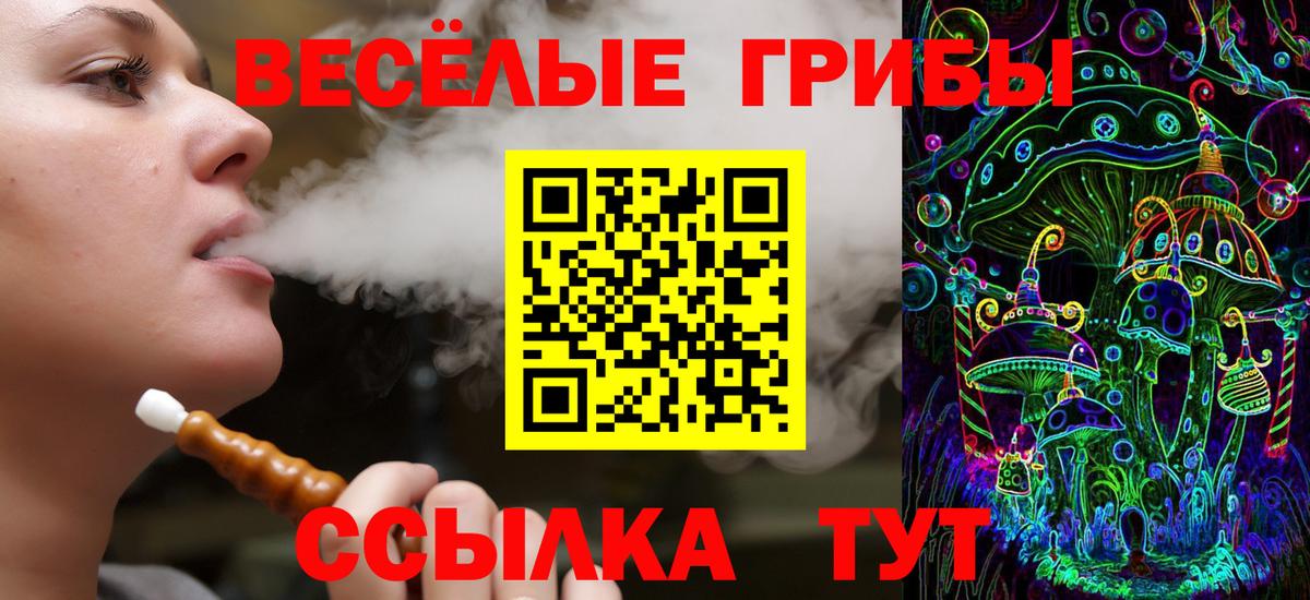 Кызыл  магазин продажи   Вход с VPN  Псилоцибиновые грибы ЛСД 