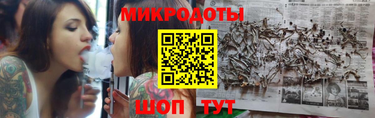 Псилоцибиновые грибы Psilocybe Кызыл
